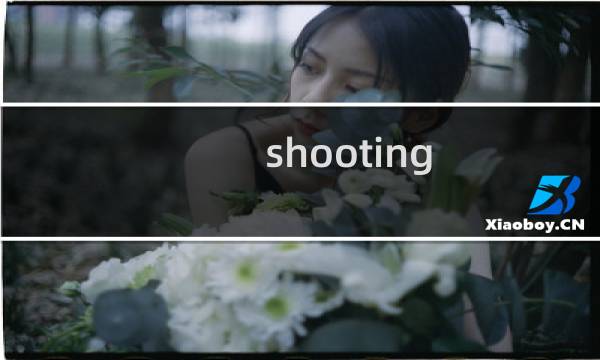 shooting luna攻略
