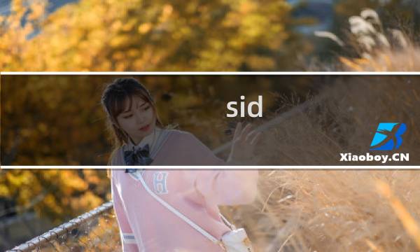 sid story里程攻略