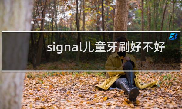 signal儿童牙刷好不好