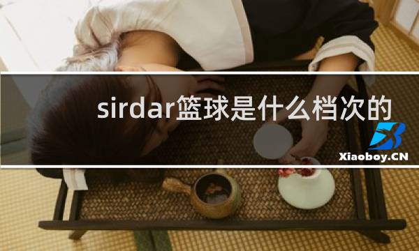 sirdar篮球是什么档次的