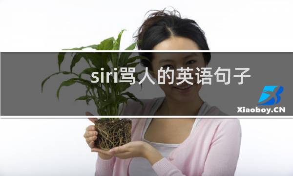 siri骂人的英语句子图片