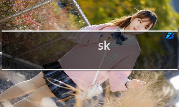 sk 2攻略