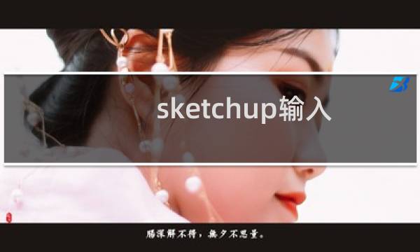 sketchup输入的数据在数据栏丢失该怎么办?