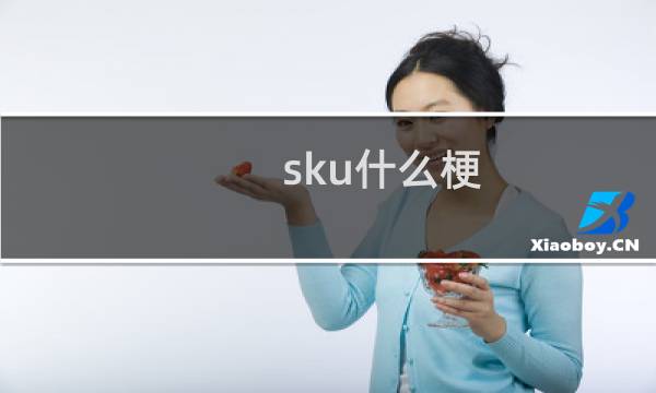 sku什么梗