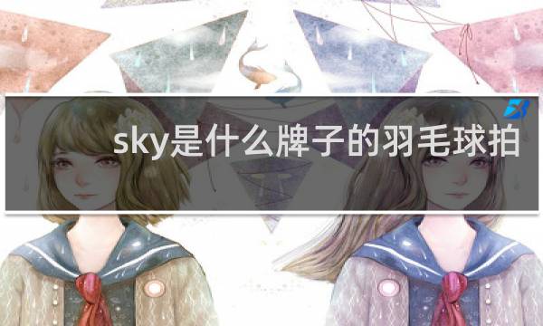 sky是什么牌子的羽毛球拍