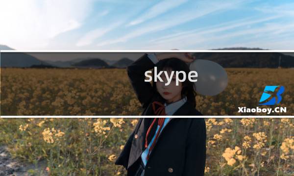 skype 攻略