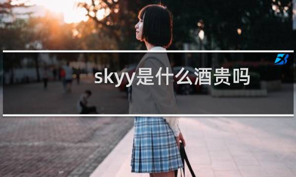 skyy是什么酒贵吗