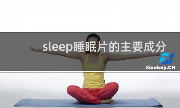 sleep睡眠片的主要成分