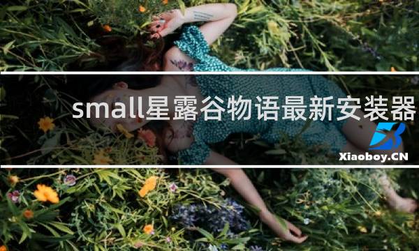 small星露谷物语最新安装器