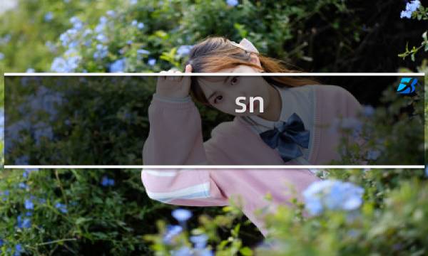 sn 攻略