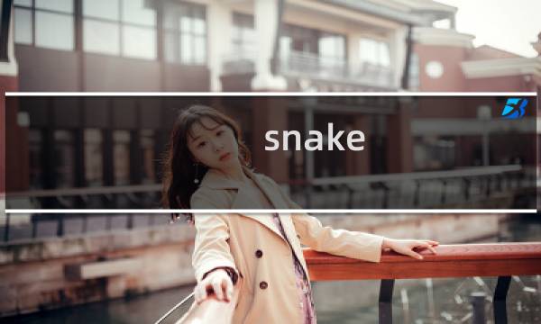 snake off 攻略