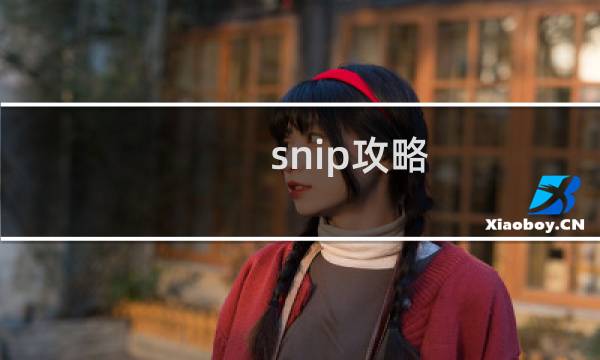 snip攻略