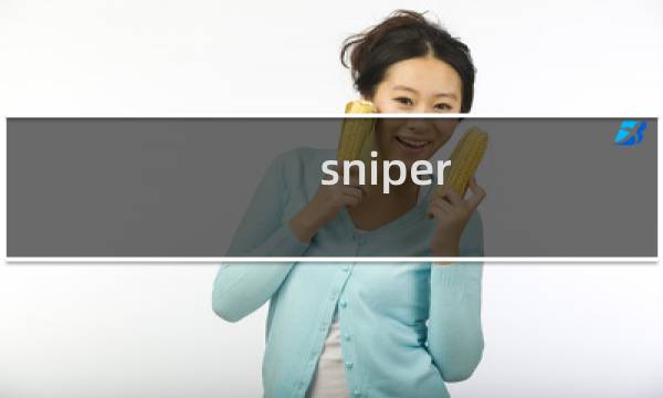 sniper 任务攻略