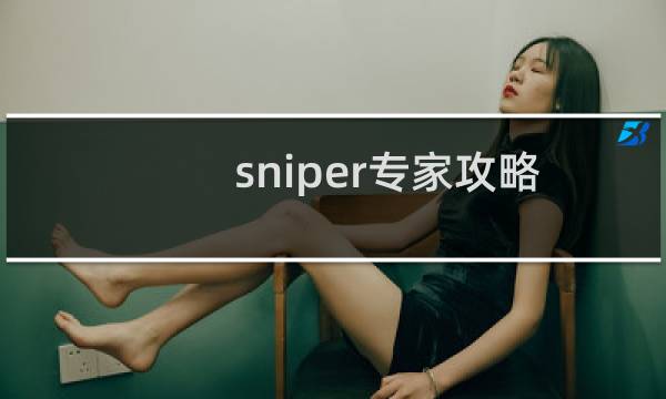 sniper专家攻略
