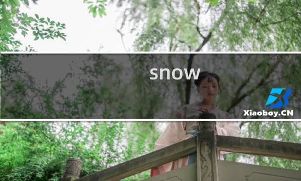 snow globe 攻略