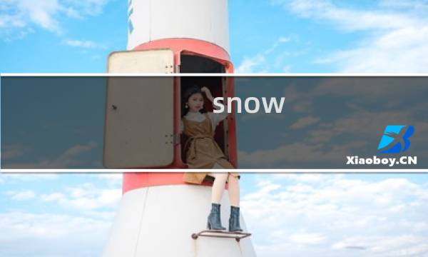 snow kingdom攻略