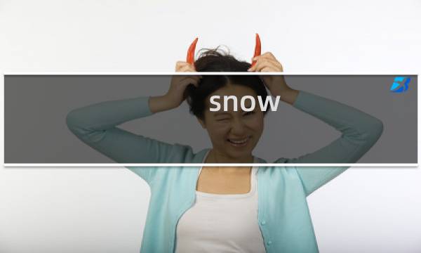 snow se 攻略