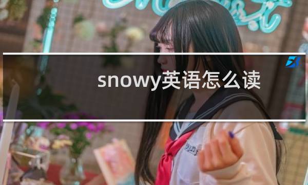 snowy英语怎么读