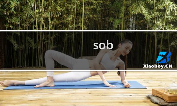 sob 主任攻略