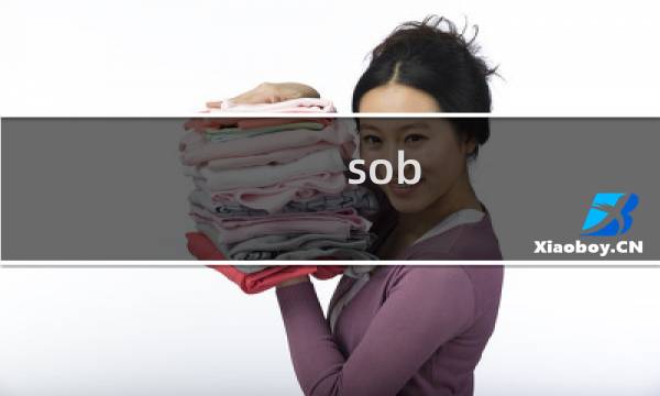 sob 官方攻略