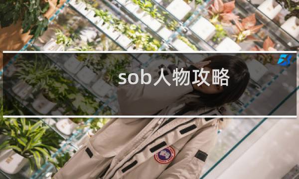 sob人物攻略