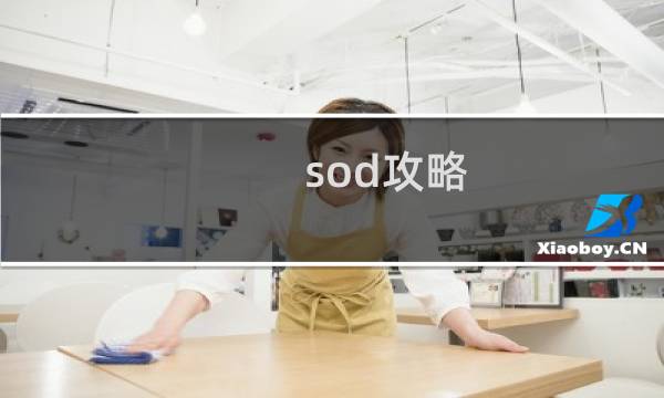 sod攻略