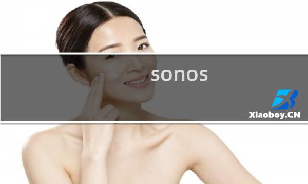 sonos 攻略