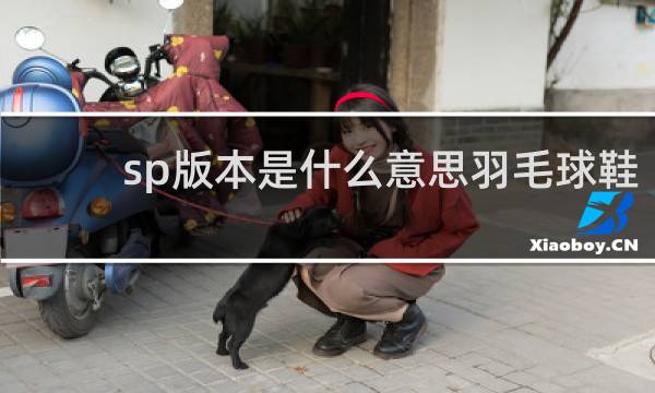 sp版本是什么意思羽毛球鞋