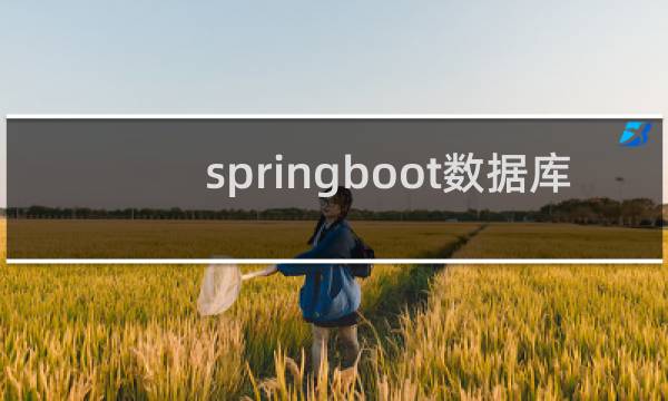 springboot数据库