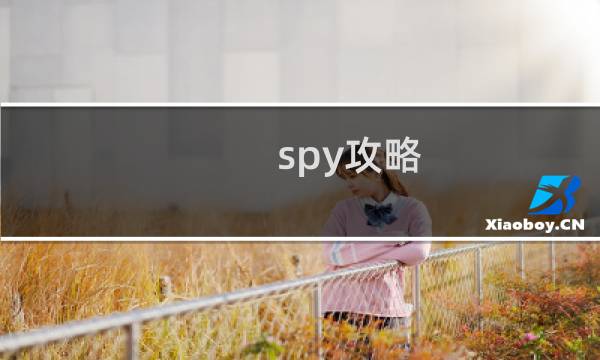 spy攻略
