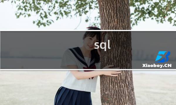 sql 动态