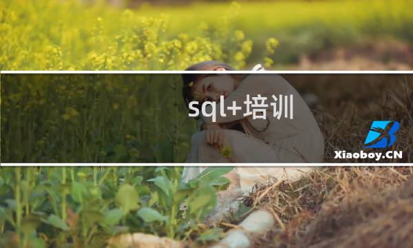 sql+培训