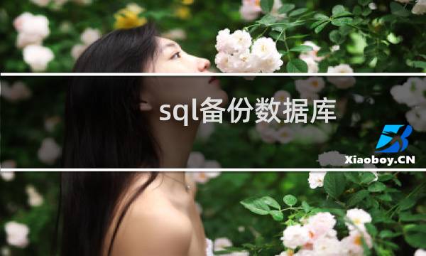 sql备份数据库
