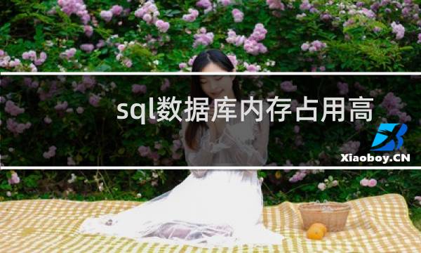 sql数据库内存占用高