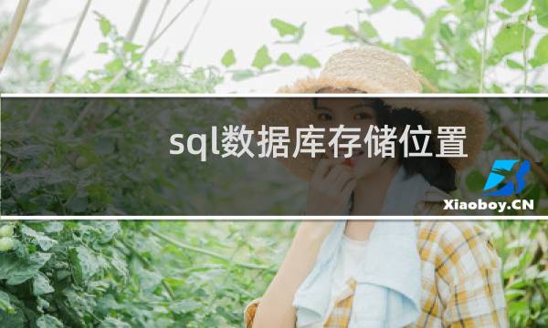 sql数据库存储位置