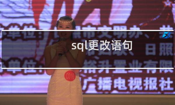 sql更改语句