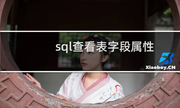 sql查看表字段属性
