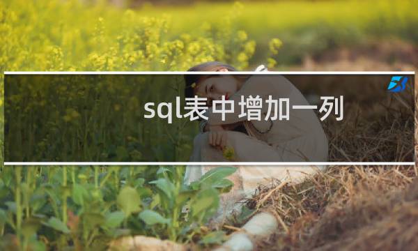sql表中增加一列