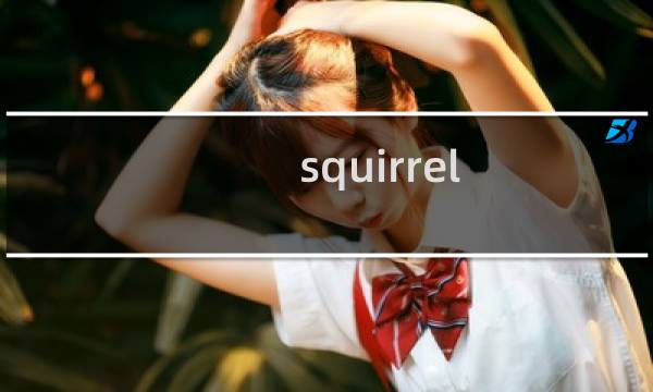 squirrel 攻略