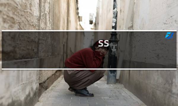 ss 王座攻略