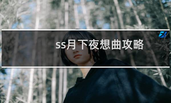 ss月下夜想曲攻略