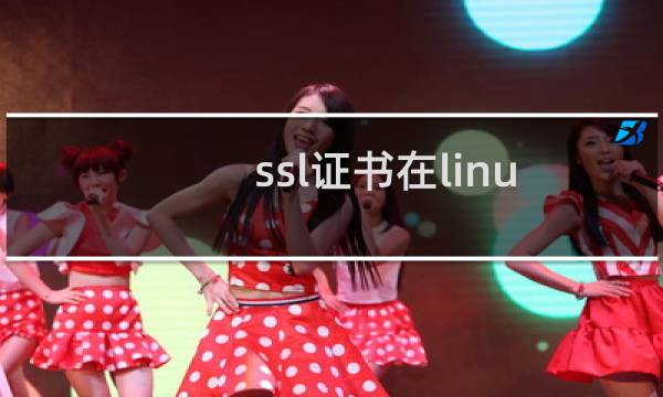 ssl证书在linux安装无效