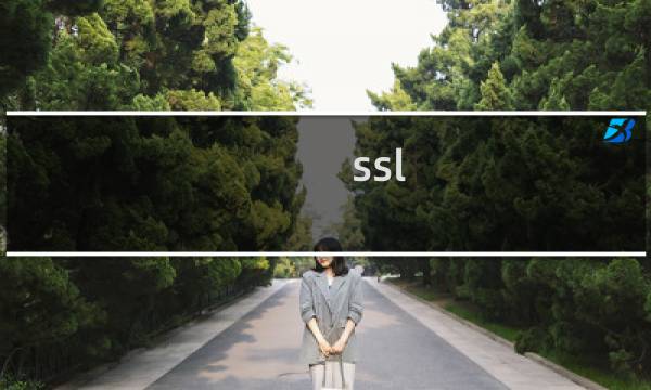 ssl 网站内页打不开问题