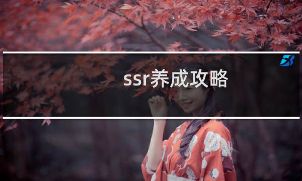 ssr养成攻略