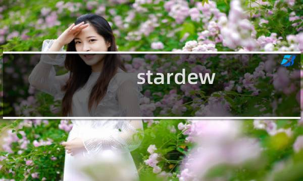 stardew valley 攻略