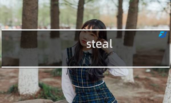 steal 视屏攻略
