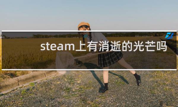 steam上有消逝的光芒吗
