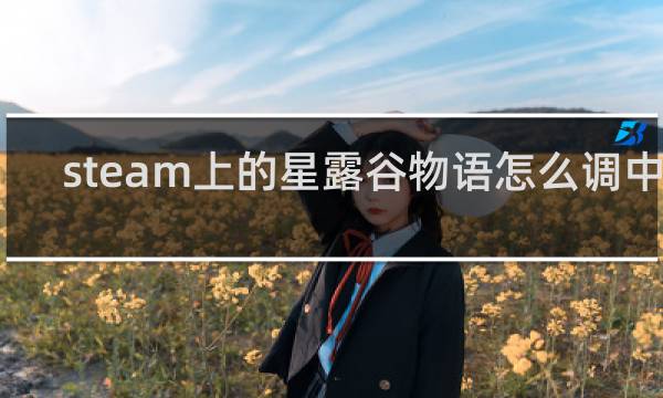 steam上的星露谷物语怎么调中文