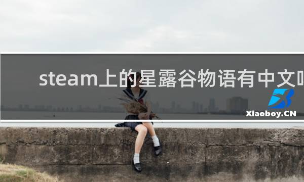 steam上的星露谷物语有中文吗