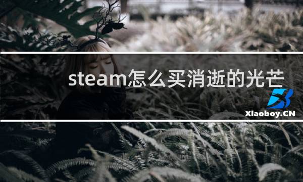 steam怎么买消逝的光芒